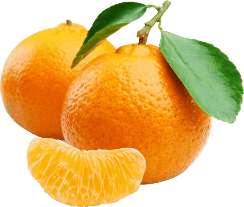 Mandalina