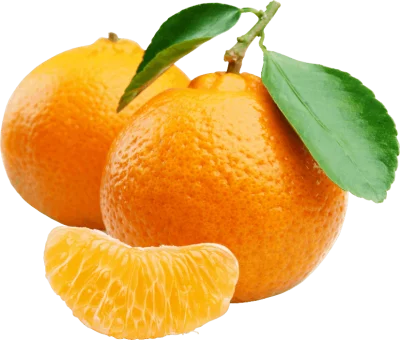 Mandalina